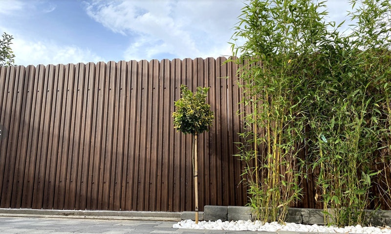 Galerie zur Inspiration