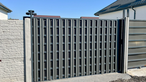 Tisa