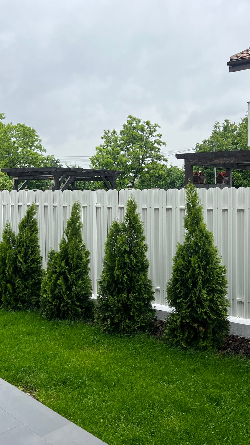 Galerie pentru inspirație